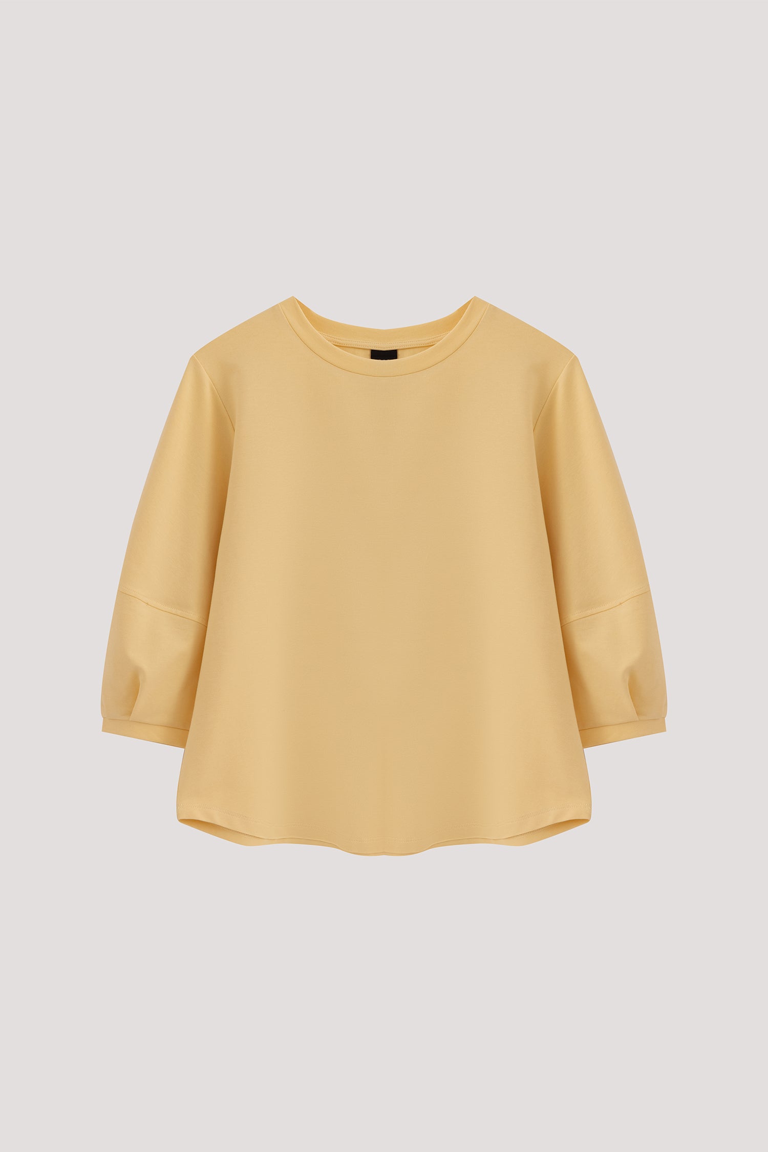 Panelled Puffy Blouse