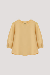 Panelled Puffy Blouse