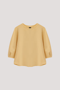 Panelled Puffy Blouse
