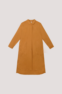 Collared Shift Dress