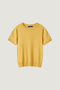 9091 MUSTARD