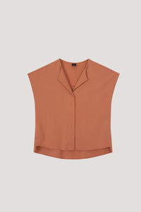 AB 9039 SALMON
