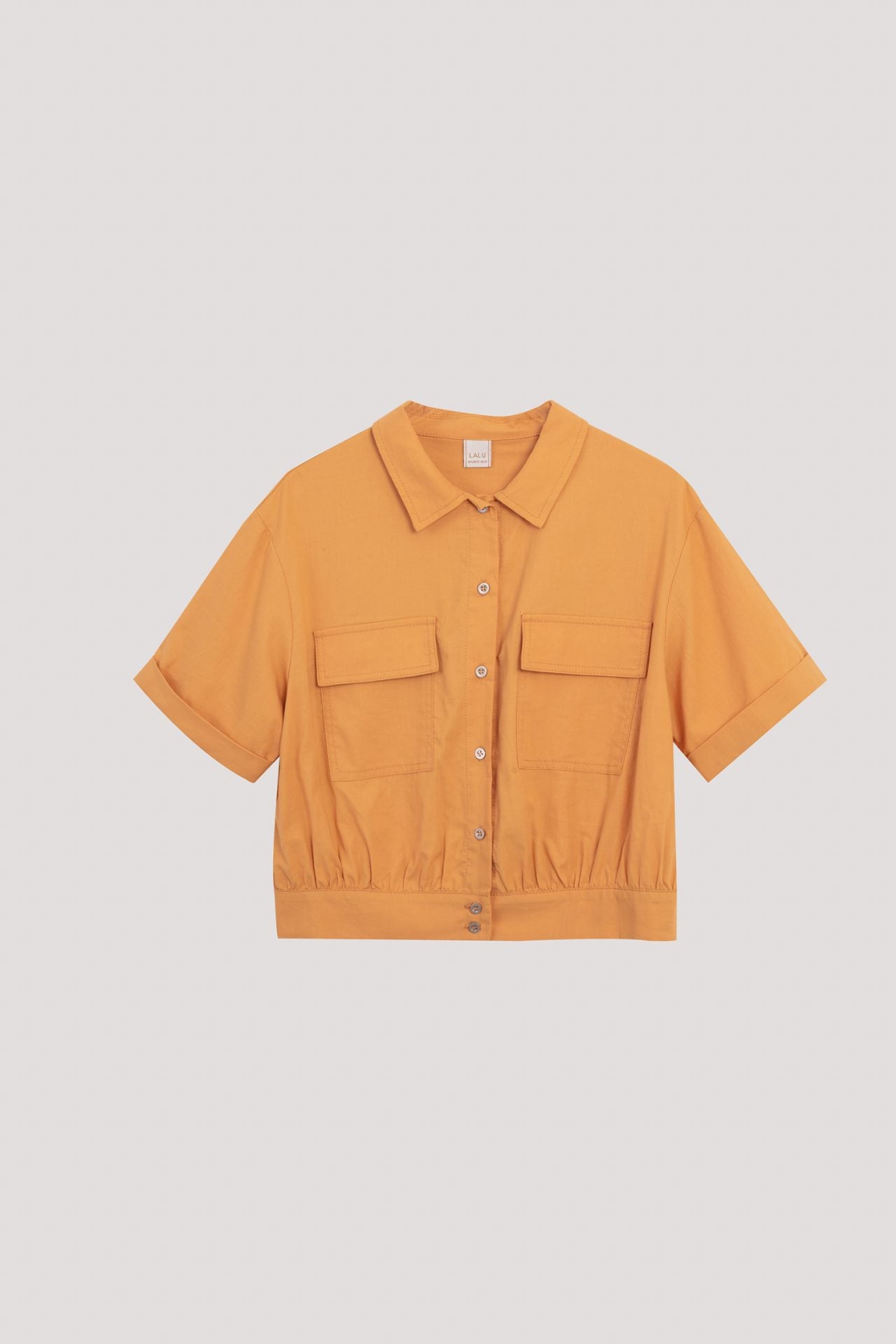 BB 9124 MARIGOLD