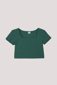 BT 11384 -fern