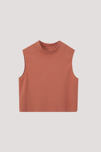 BTV 10412 SALMON