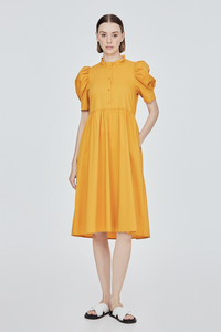 Ruffled Collar A-Line Dress