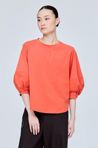 Panelled Puffy Blouse