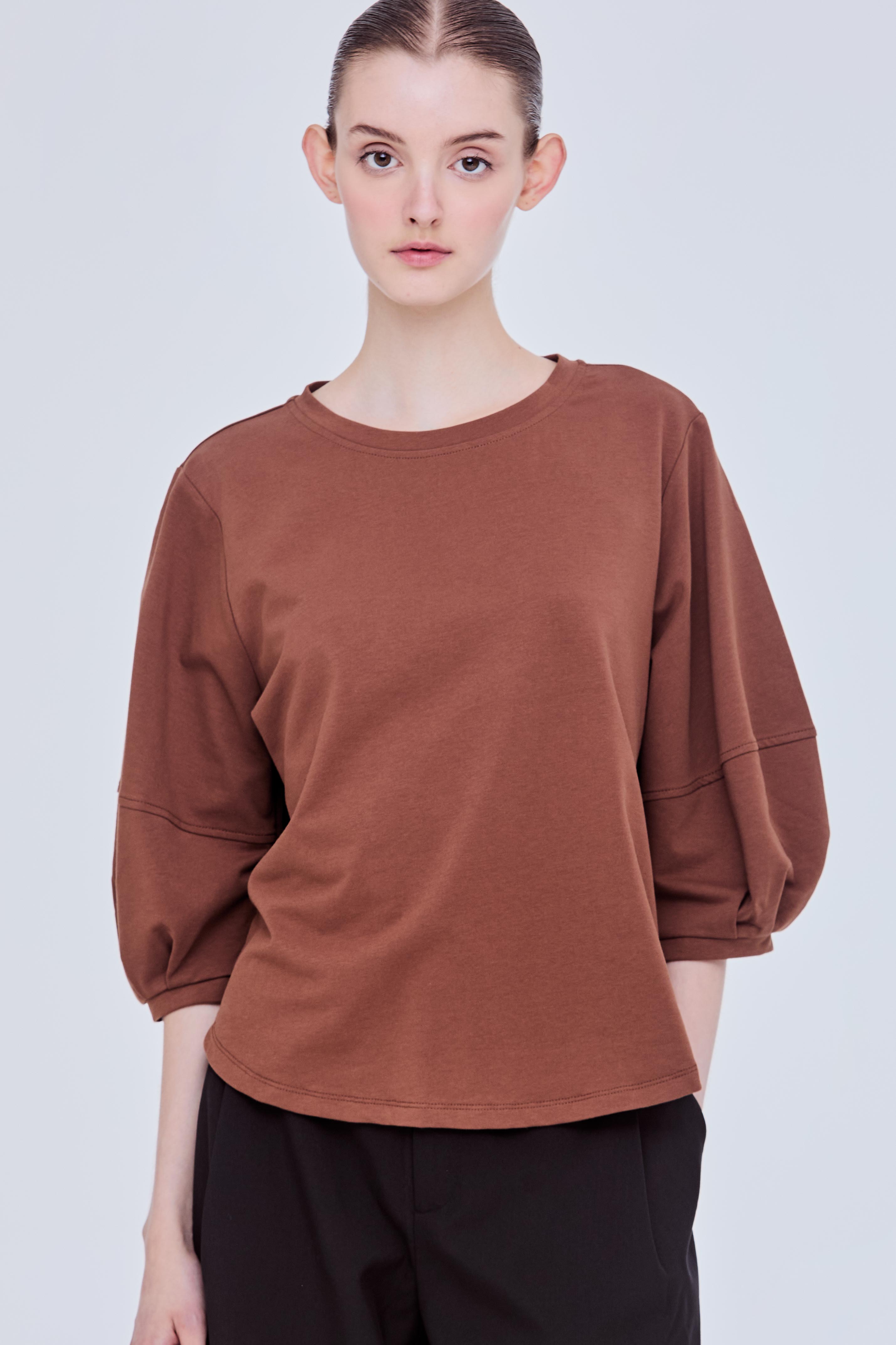 Panelled Puffy Blouse